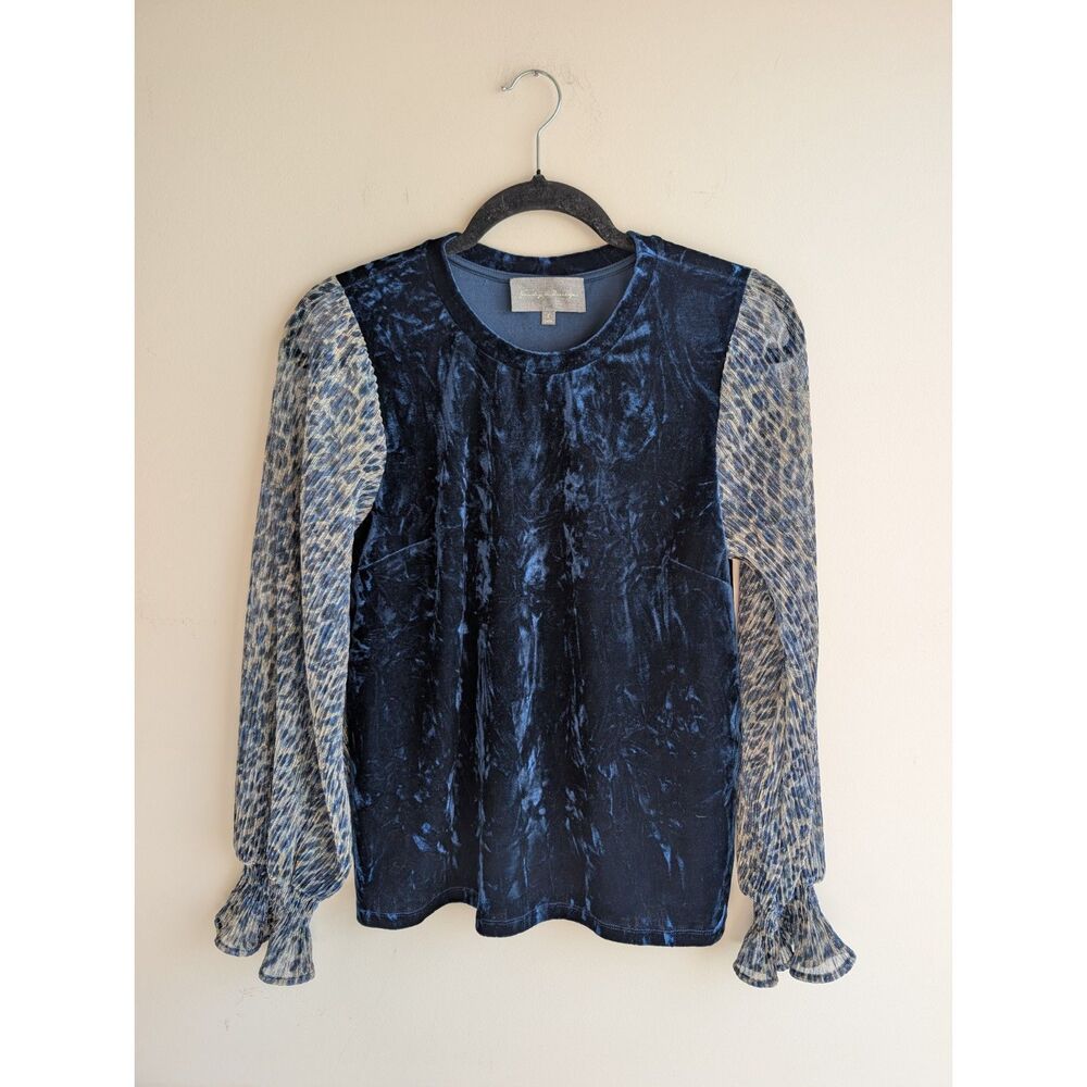 Anthropologie Sunday in Brooklyn Small Velvet Puff Sleeve Blue Top Sheer Sleeve
